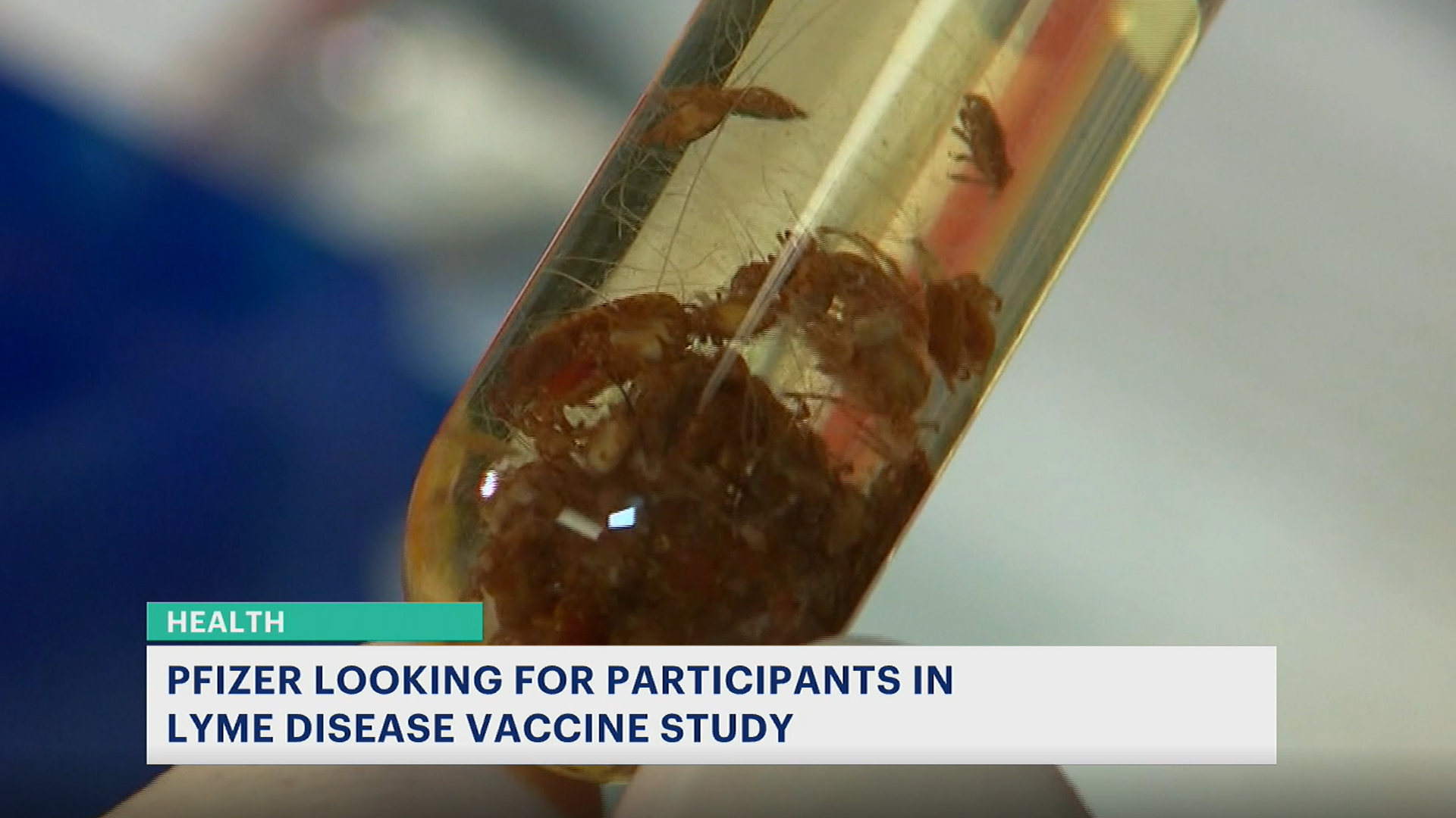 Pfizer seeks participants for Lyme disease vaccine study