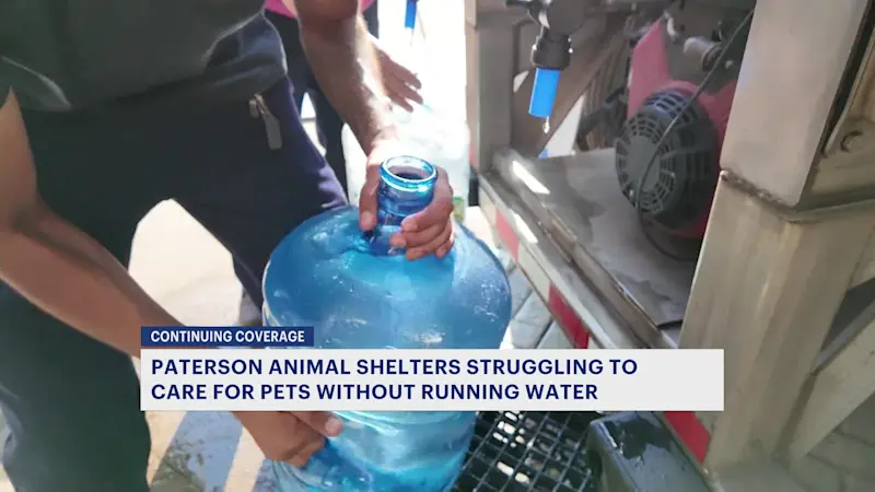 Story image: ‘We have to take care of our four-legged friends.’ Paterson water main break impacts animal shelter