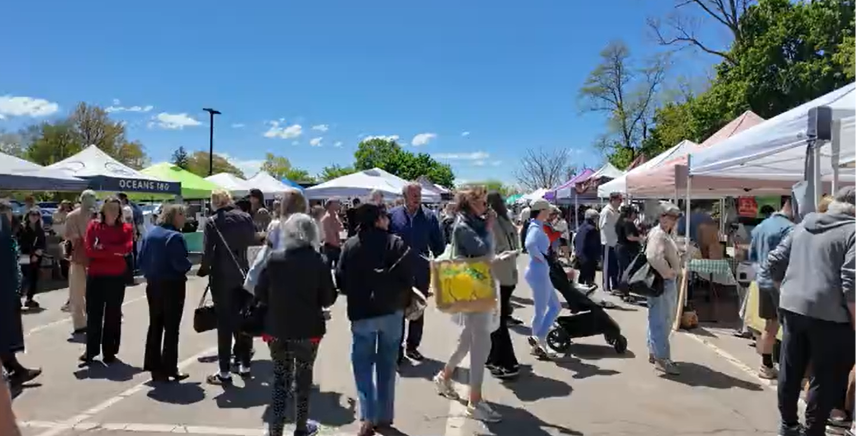 Westport Farmers Market thumbnail