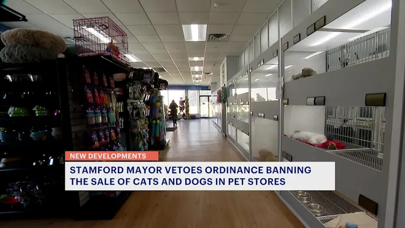 Story image: Stamford mayor vetoes ban that would have prohibited the sale of cats and dogs