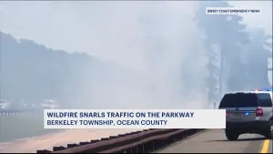 Officials: Wildfire in Berkeley Township temporarily closes portion of the Garden State Parkway