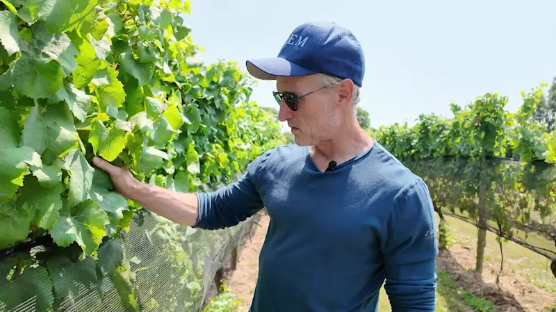Story image: The East End: Ev and Em Vineyards