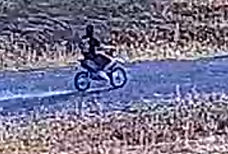 IMG_0391.jpeg