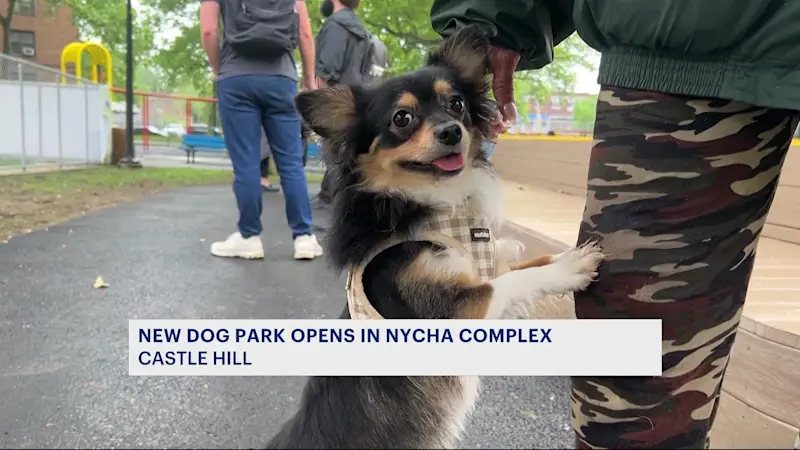Story image: New dog park opens at NYCHA's Castle Hill campus