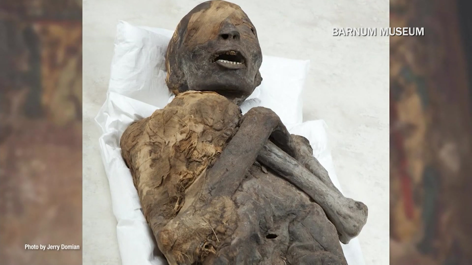 A look at Barnum Museum's 4,000-year-old mummy