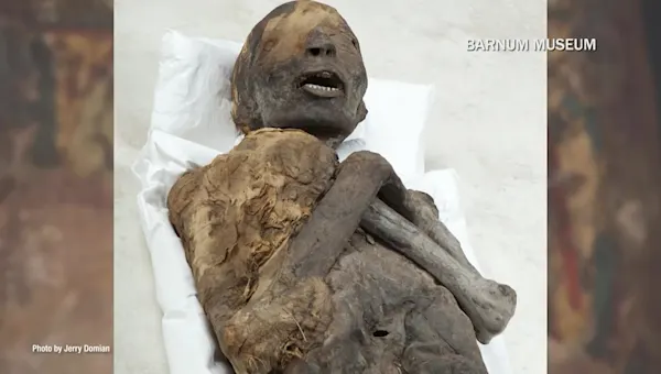 A look at Barnum Museum's 4,000-year-old mummy