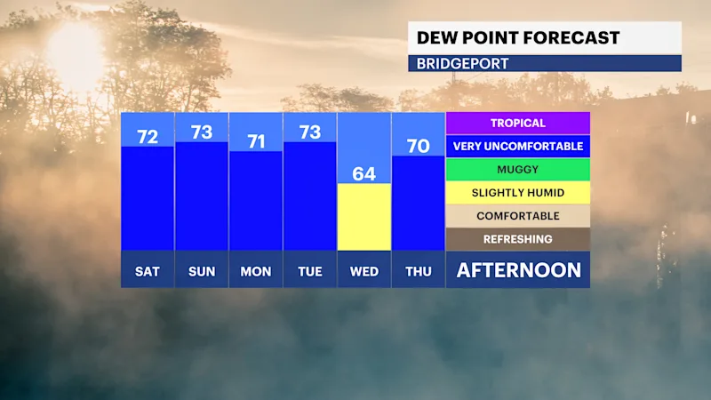 ST_FB_Dewpoint_Daily.png