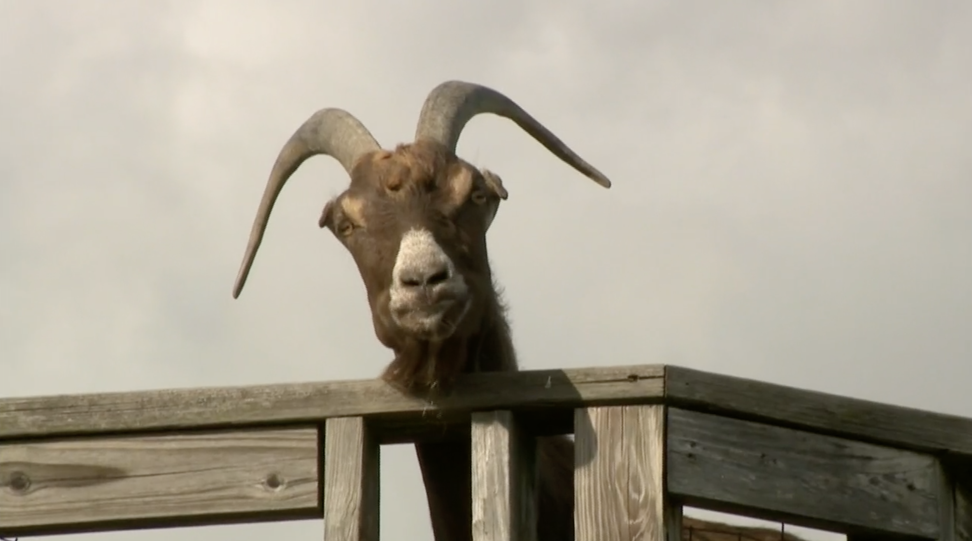 Article 302140 Hero Image