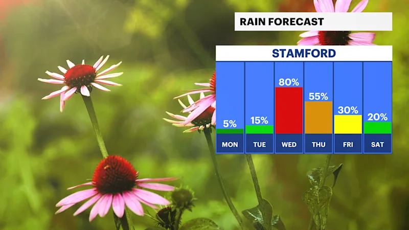 CT Sun 09152024_Daily Rain Trend.png