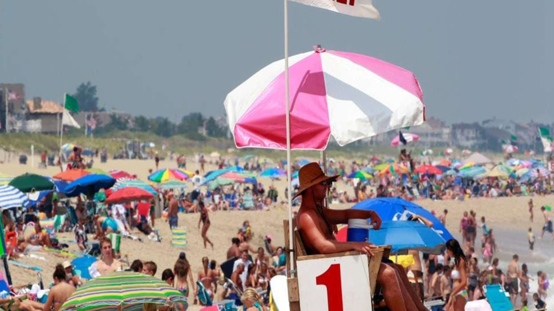 Article 265635 Hero Image