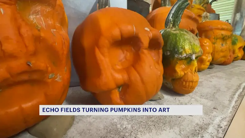 Story image: Orange County farm grows pumpkins that look like human heads 