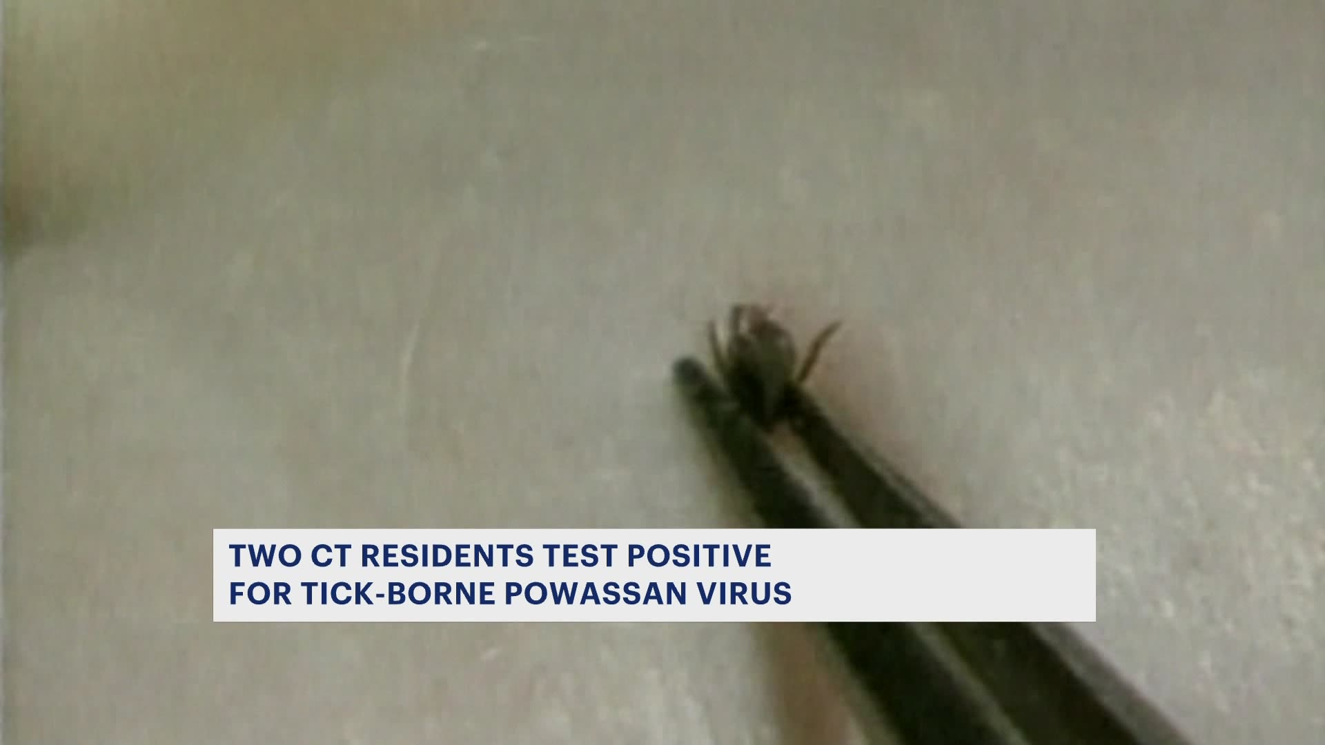 Officials 2 Connecticut residents test positive for tickborne