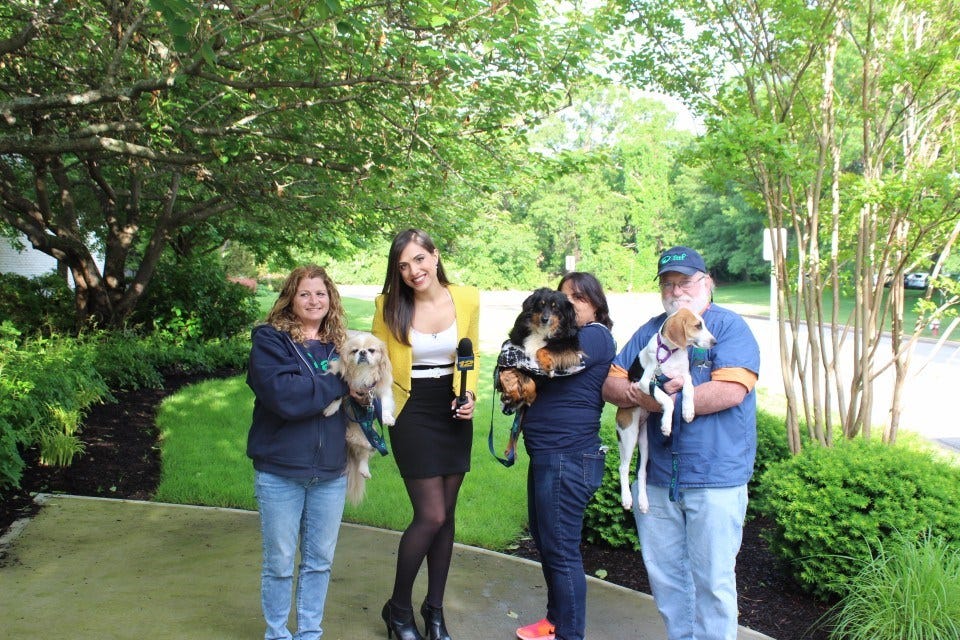 Article 120699 Thumbnail