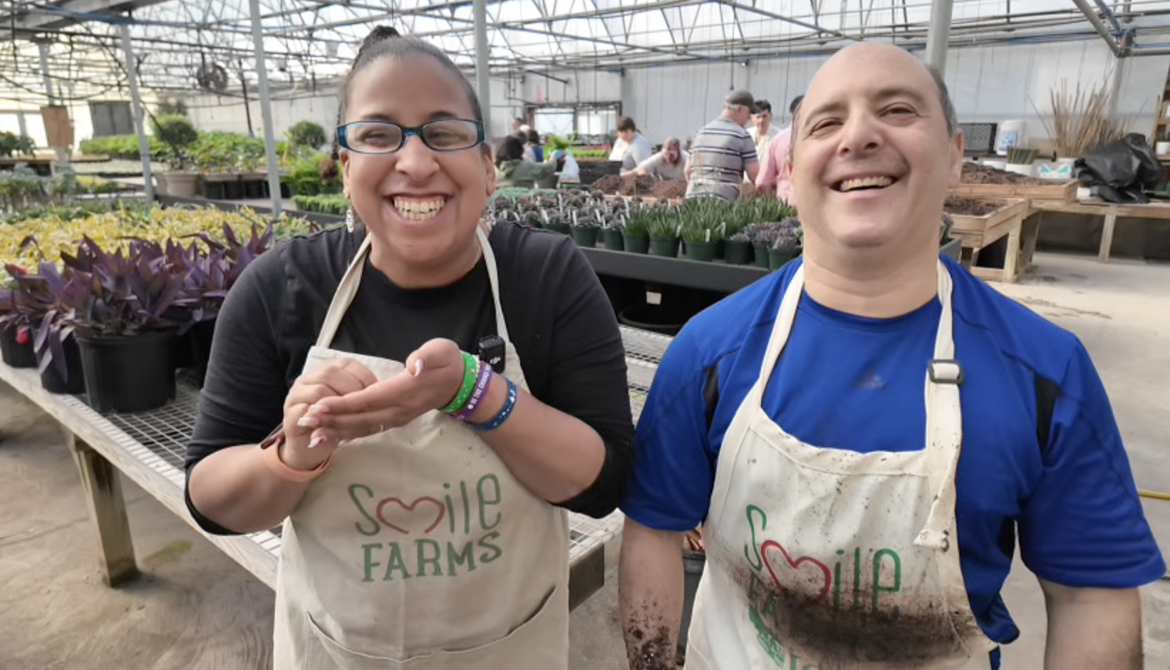 Screenshot 2026-02-11 at 12.55.44 PM.png