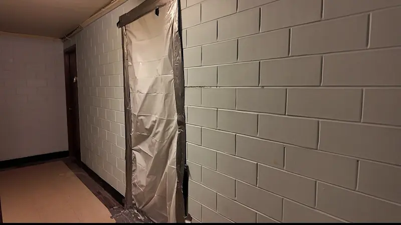 Story image: Soundview tenants claim decomposed dogs are cause of unbearable smell in NYCHA building