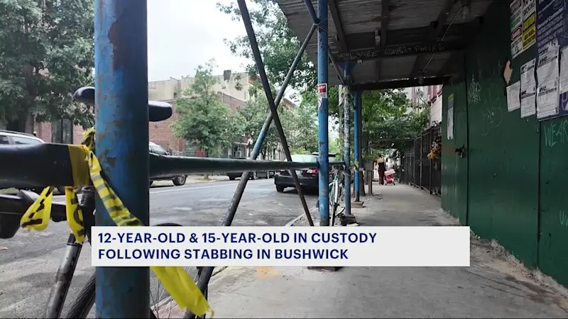 Story image: 2 boys charged in stabbing of man near Maria Hernandez Park