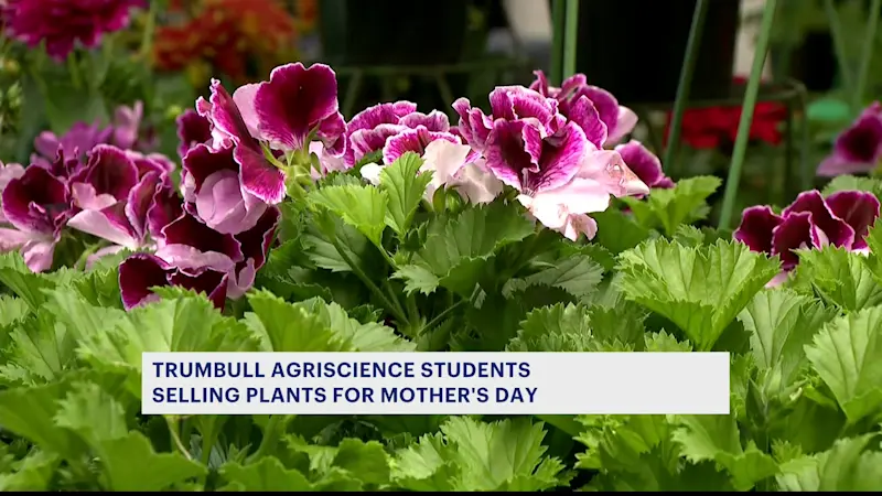 Story image: Trumbull agriscience Mother's Day plant sale begins
