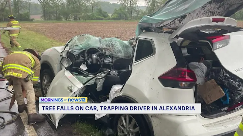 Story image: Driver rescued after tree falls on car in Hunterdon County