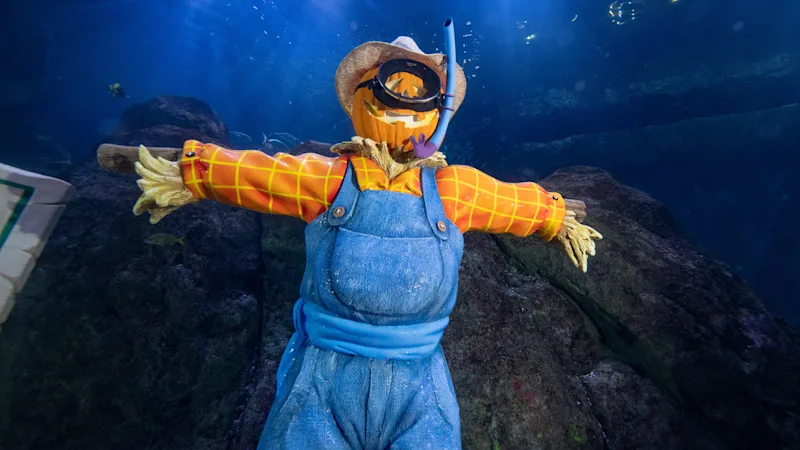 Adventure_Aquarium_Fintastic_Pumpkin_Glow_07.jpg