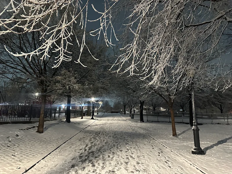 BXBushwickSnowSun01182026RFFlaks001.jpg