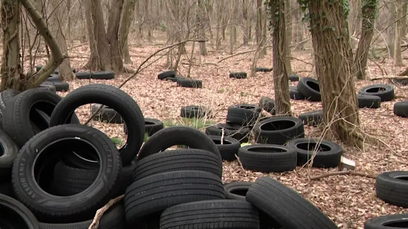 Story image: East Norwich residents organize clean up of more than 1,000 tires illegally dumped in wooded area off of Route 106