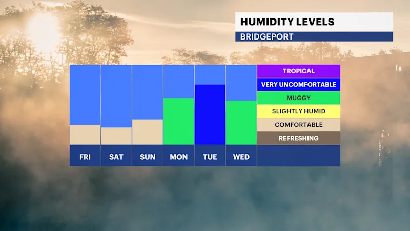 FB_Dewpoint_Daily2.png
