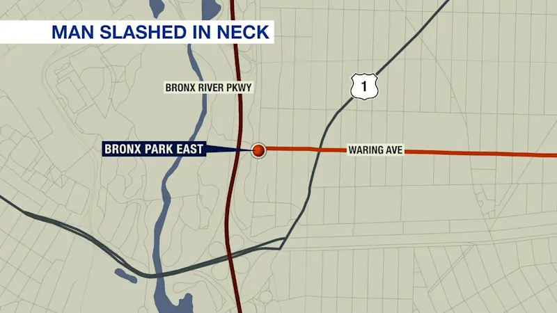 Story image: Man slashed inside 2 train at Bronx Park East station in Van Nest
