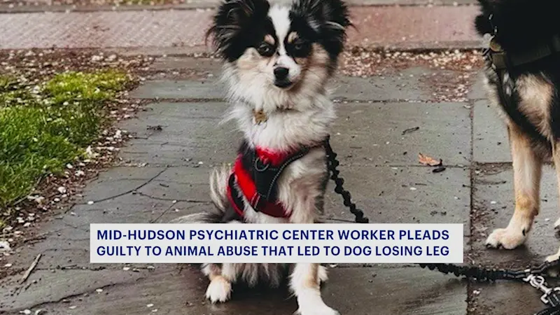 Story image: Mid-Hudson Psychiatric state worker pleads guilty to aggravated animal abuse