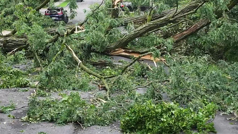 Story image: NJ Transit disruptions continue as storm cleanup forces rail suspensions