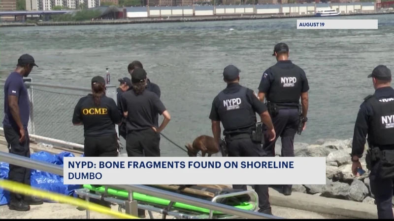 Story image: NYPD: More human remains found at Brooklyn Bridge Park shore