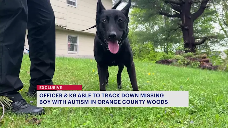 Story image: Orange County deputy, K-9 find missing boy with autism in wooded brush
