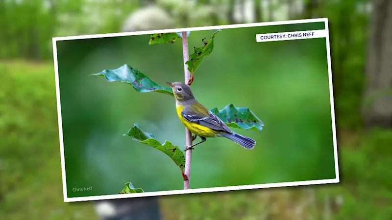 Story image: Connect with nature this summer at Somerset County animal sanctuary