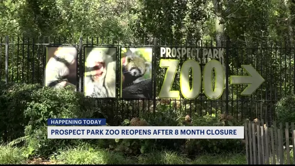 8 months later, Prospect Park Zoo reopens to zoo members today, public Saturday