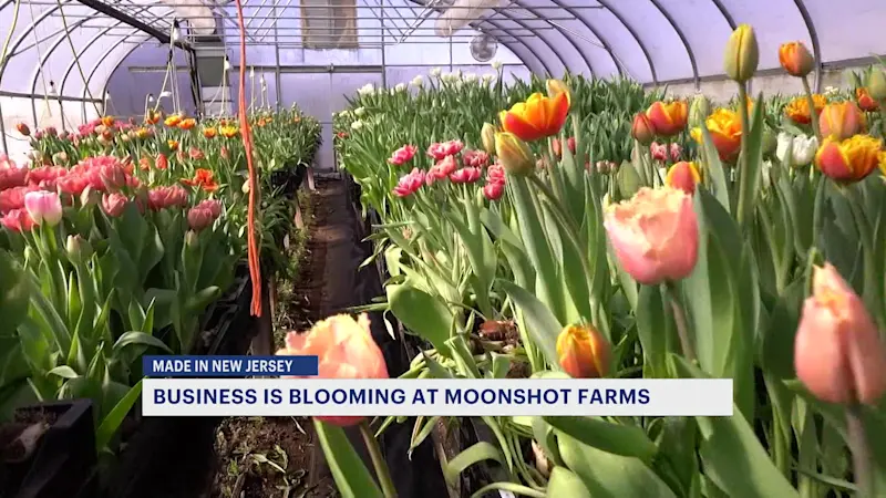 Story image: Made in New Jersey: A Floral Haven at Moonshot Farm in Mercer County