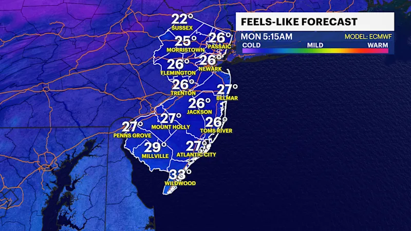 NJF_Feel_ECMWF_9k.png