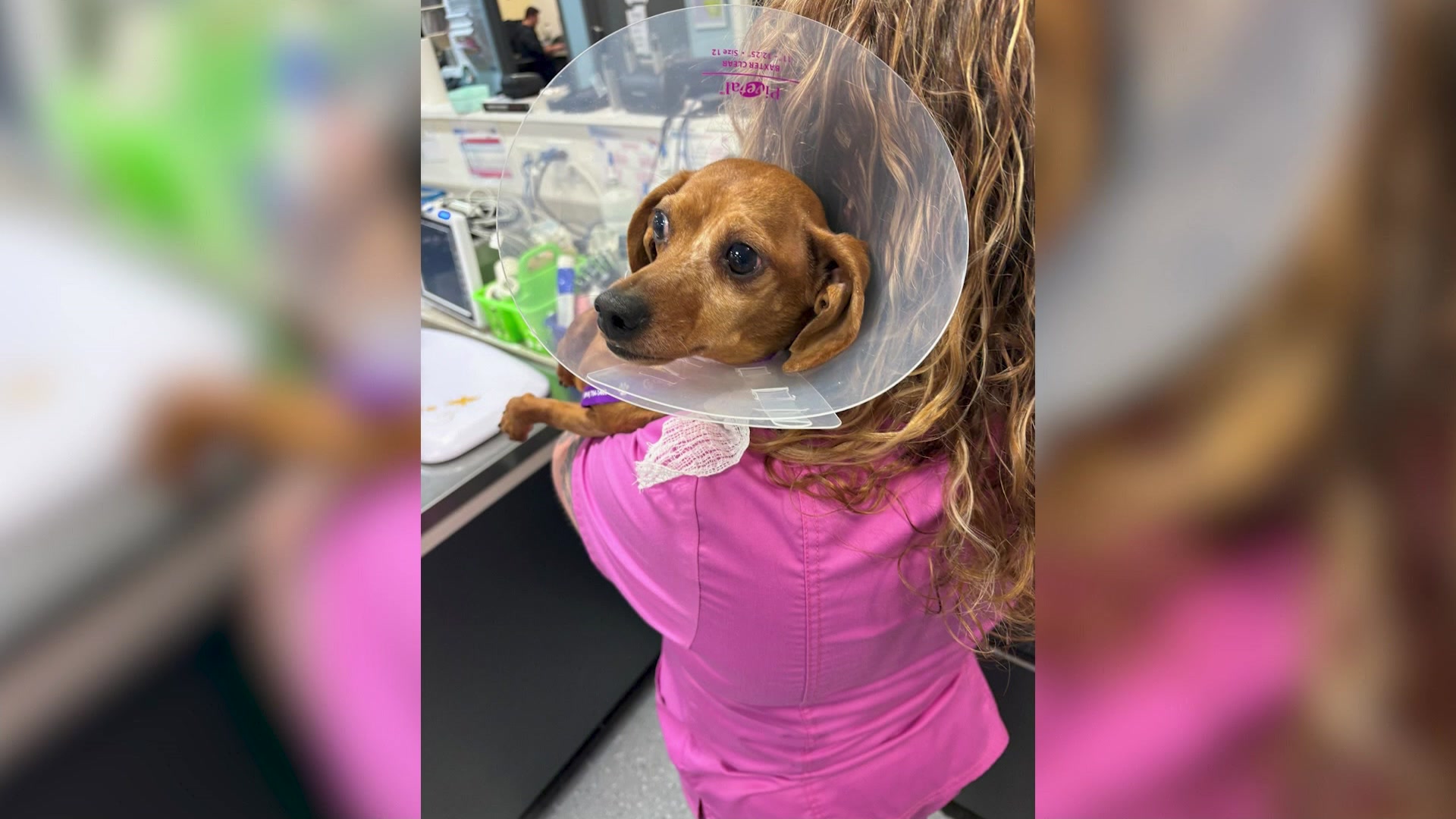 0424putnamaspca_2026-04-24-17-19-27