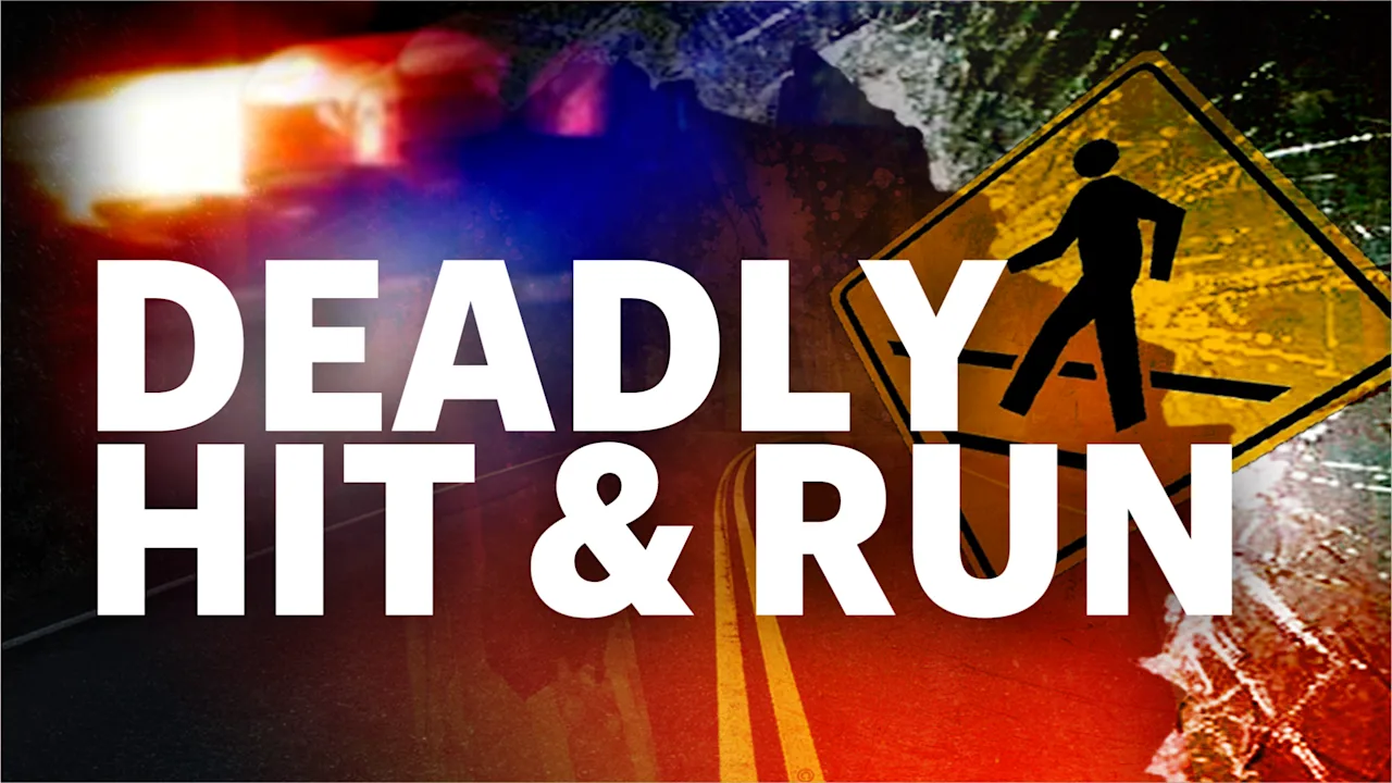 DeadlyHitRun