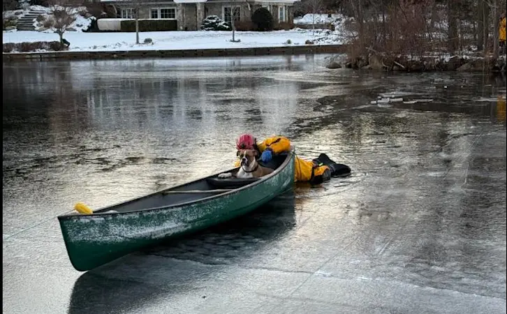 Story image: Franklin Lakes volunteer firefighters rescue dog stranded on island in icy water