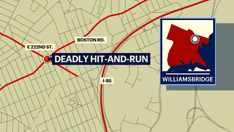 Story image: Man fatally struck by BMW in Williamsbridge; driver on the run
