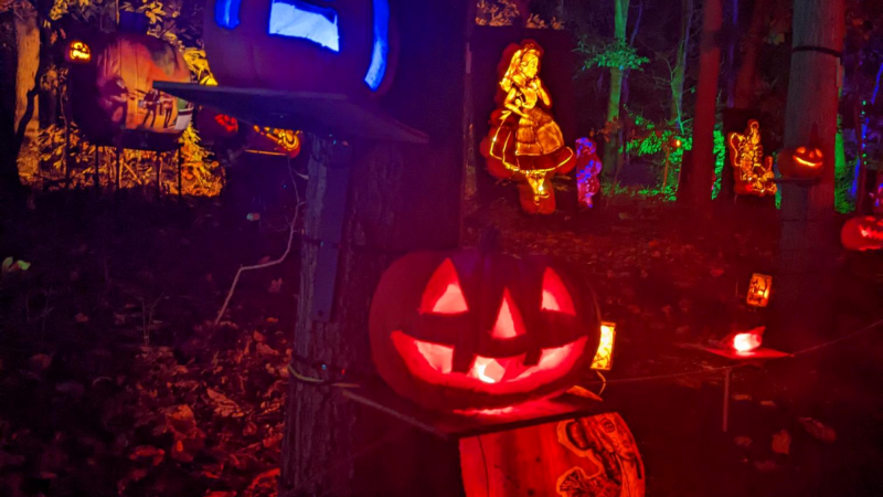 Story image: Guide: Last-minute Halloween events to attend this weekend on LI