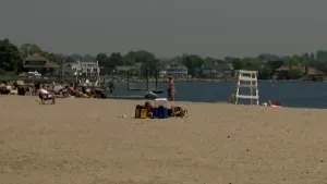 People flock to Calf Pasture Beach to enjoy Wednesday's weather