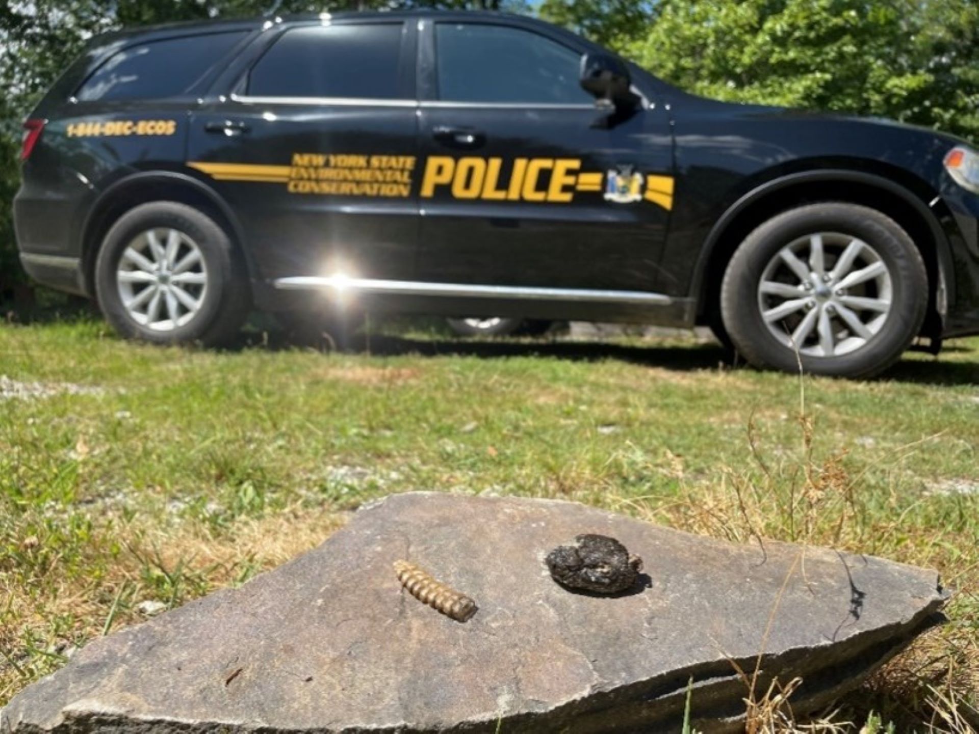 Article 301755 Hero Image