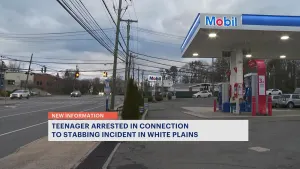 White Plains police: Teenager arrested in connection to stabbing of 17-year-old outside gas station