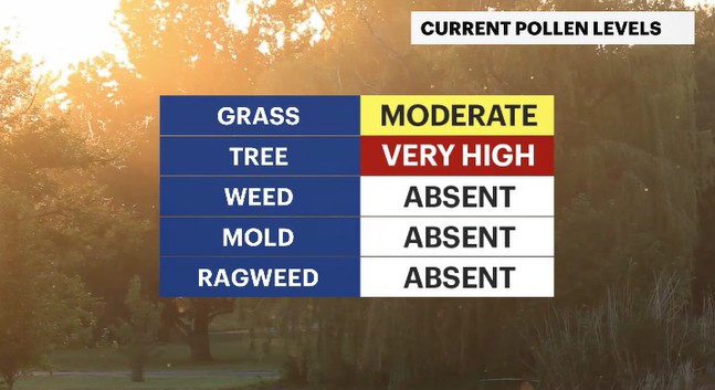 pollen HV.JPG