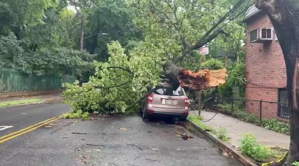 NYCStormCortelyouRdE37thStBKSG001