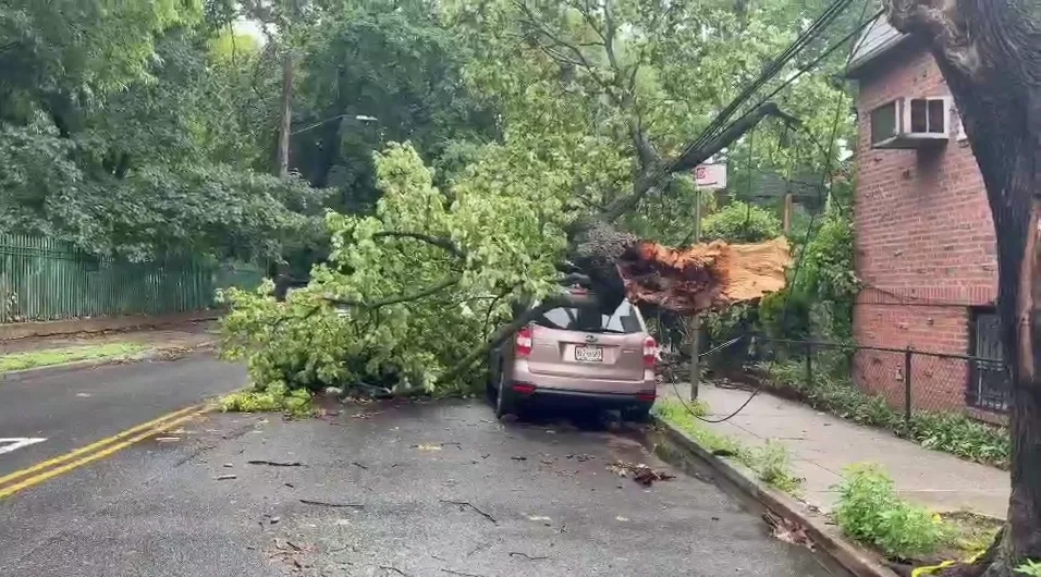 NYCStormCortelyouRdE37thStBKSG001