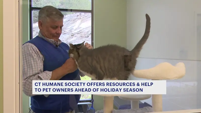 Story image: Connecticut Humane Society provides tips, resources for pet owners as holiday season approaches