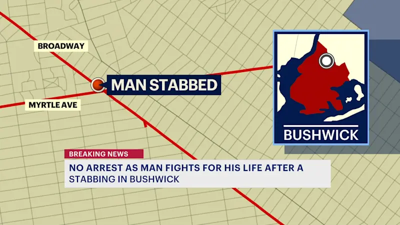 Story image: Police: Man stabbed, critically injured in Bushwick; no arrests made