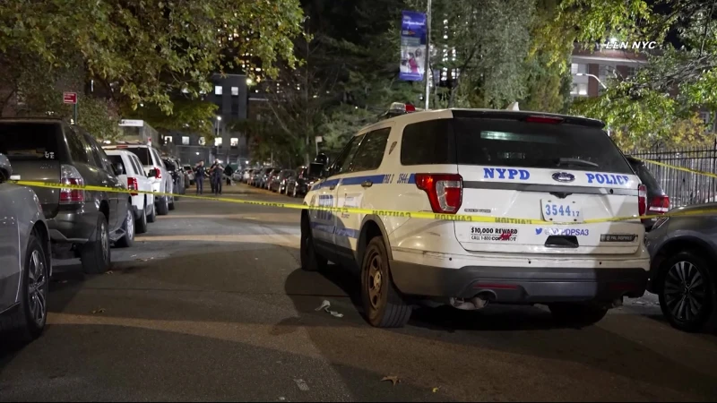 Story image: NYPD: 16-year-old boy fatally shot outside Whitman Houses in Fort Greene