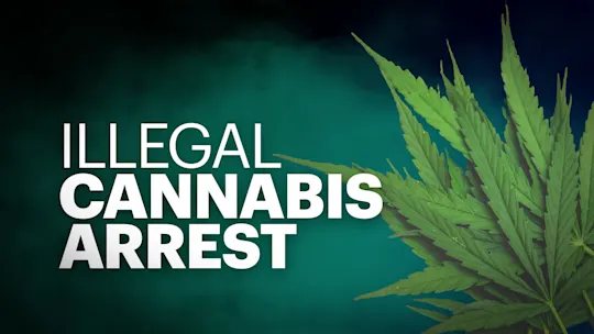 0326LICannabisArrestNoon_2025-03-26-12-17-47